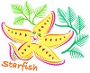 starfish